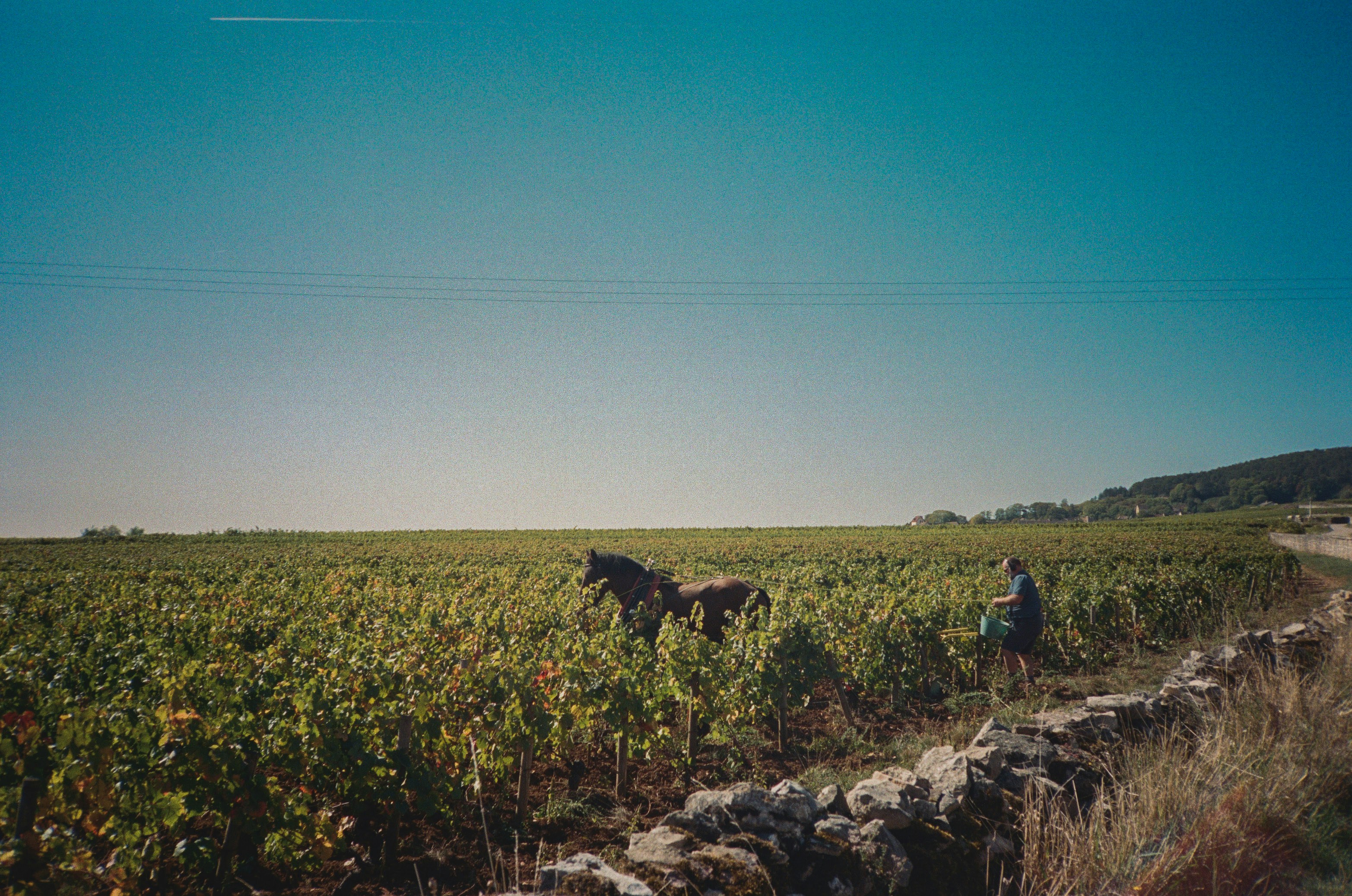 Le canal de Bourgogne à vélo, depuis Fleurey-sur-Ouche